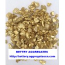 Gold coated glass chip